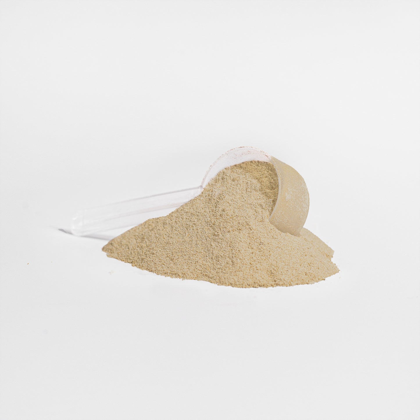 AresX™ Plant Protein (Vanilla)
