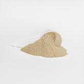 AresX™ Plant Protein (Vanilla)
